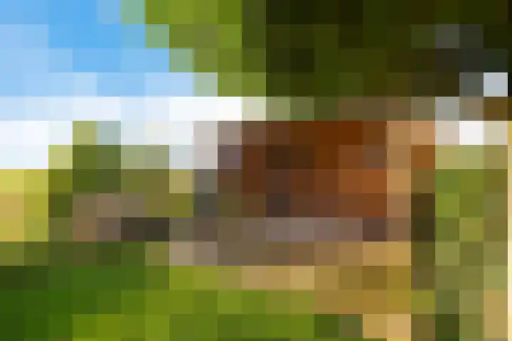 De Omrin 40 Winsum thumbnail 22