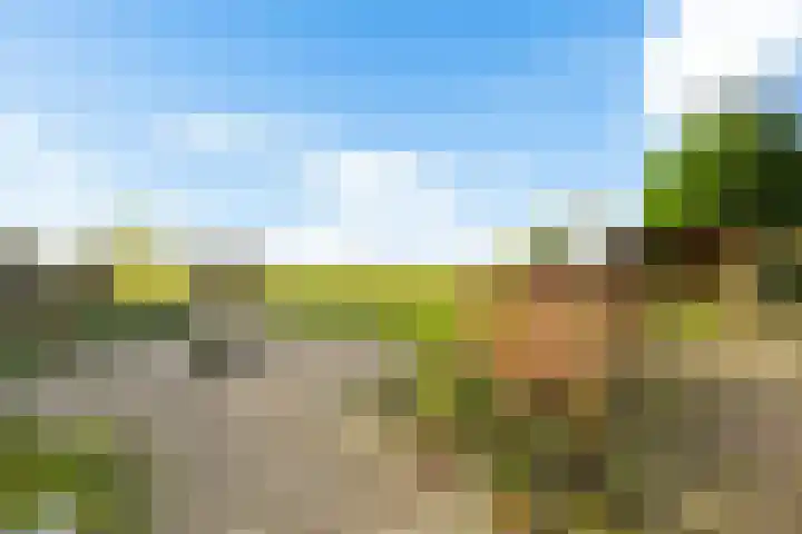 De Omrin 40 Winsum thumbnail 23