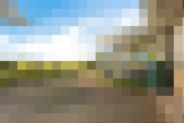 De Omrin 40 Winsum thumbnail 25