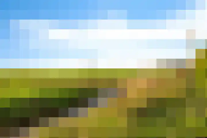 De Omrin 40 Winsum thumbnail 26