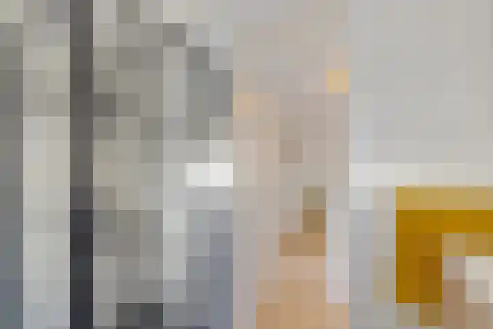 De Omrin 40 Winsum thumbnail 35