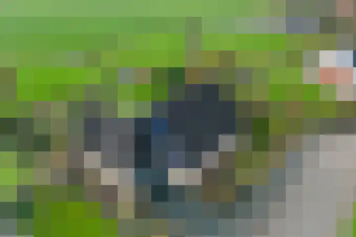 De Omrin 40 Winsum thumbnail 4