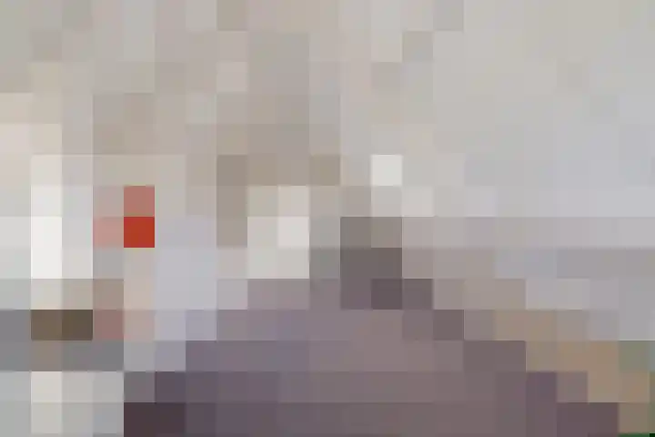 De Omrin 40 Winsum thumbnail 40
