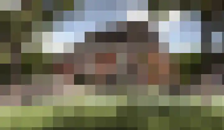 De Onderneming 34 Nibbixwoud foto 3