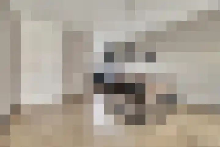 De Ontmoeting 6 Dronten thumbnail 12