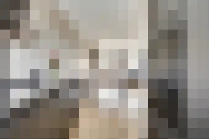 De Ontmoeting 6 Dronten thumbnail 14