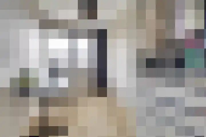 De Ontmoeting 6 Dronten thumbnail 19