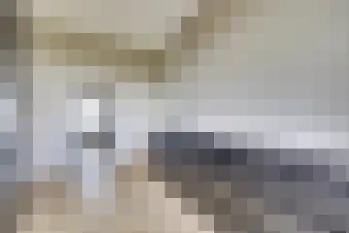 De Ontmoeting 6 Dronten thumbnail 22