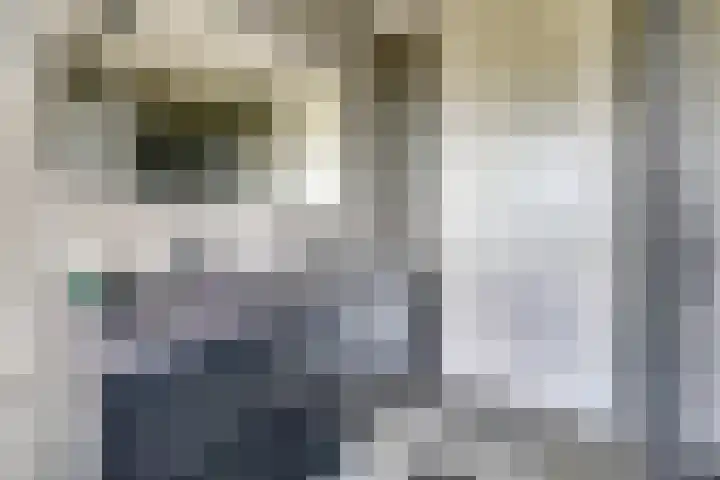 De Ontmoeting 6 Dronten thumbnail 23