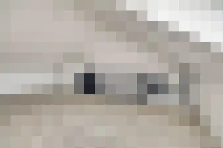 De Ontmoeting 6 Dronten thumbnail 26