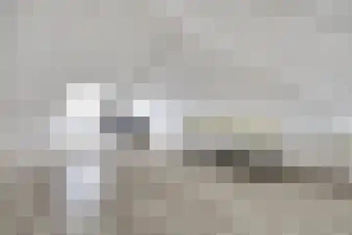 De Ontmoeting 6 Dronten thumbnail 27