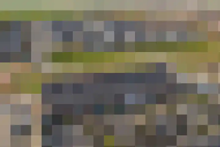 De Ontmoeting 6 Dronten thumbnail 31