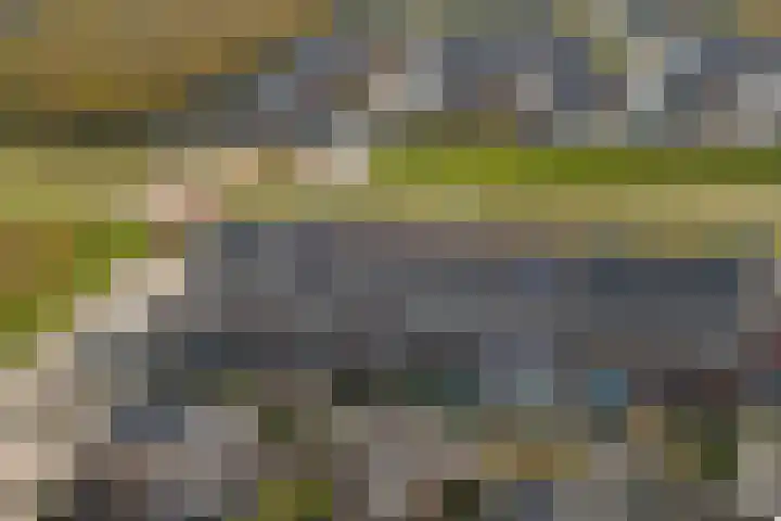De Ontmoeting 6 Dronten thumbnail 32