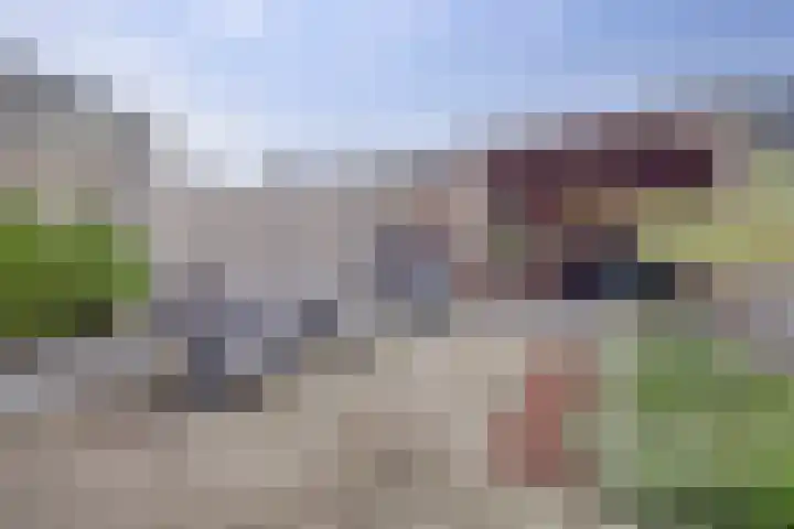 De Ontmoeting 6 Dronten thumbnail 34
