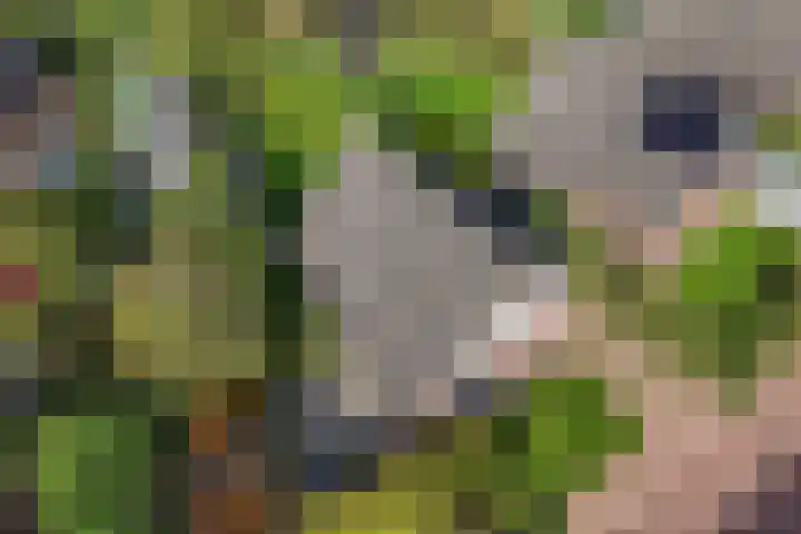 De Oper 1 Nes thumbnail 54