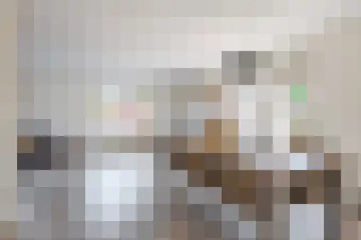 De Oper 15 Nes thumbnail 19