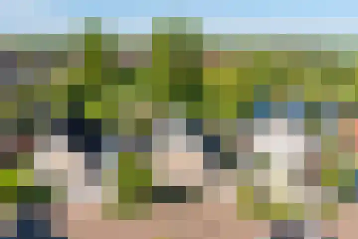 De Oper 15 Nes foto 2