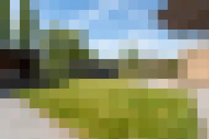 De Oper 15 Nes thumbnail 58