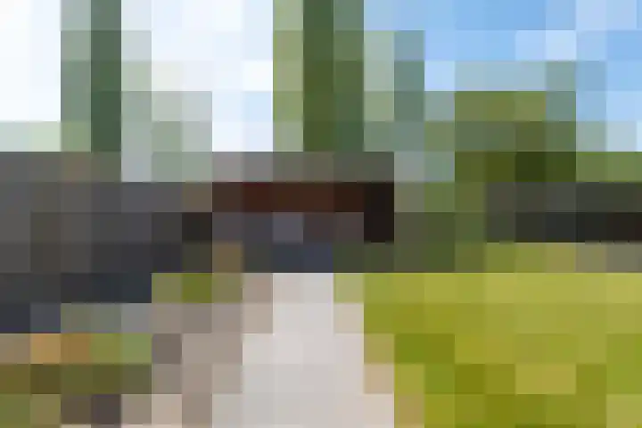 De Oper 15 Nes thumbnail 59