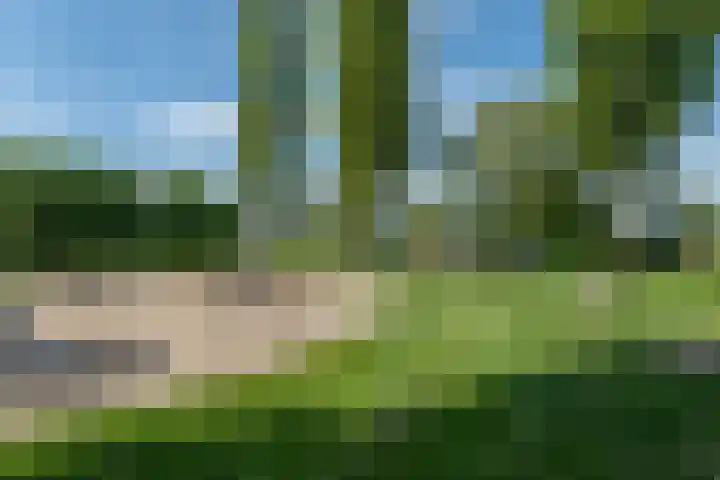 De Oper 15 Nes thumbnail 63