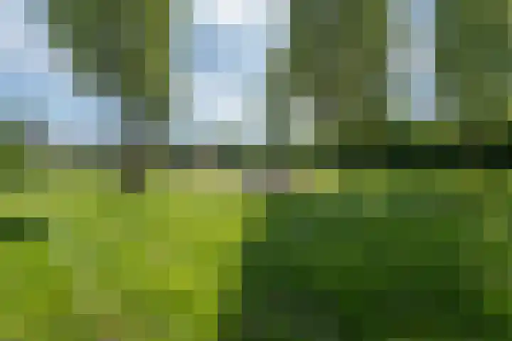 De Oper 15 Nes thumbnail 65