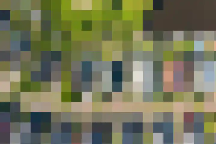 De Oper 15 Nes thumbnail 67