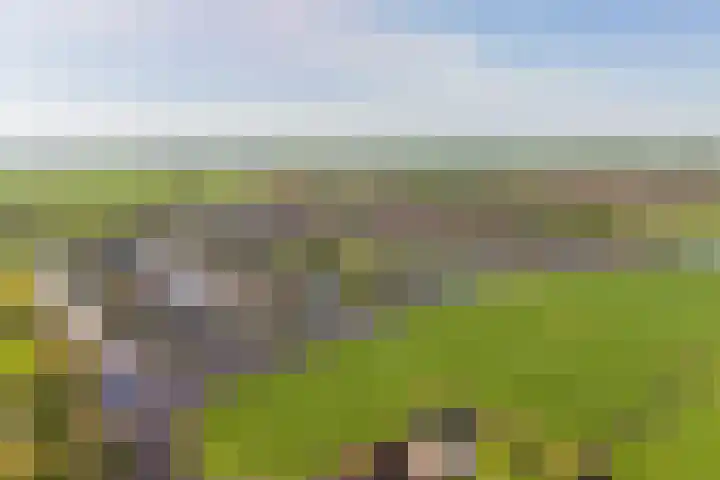 De Oper 15 Nes thumbnail 71