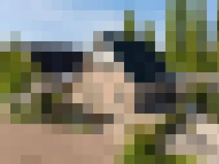 De Oper 15 Nes thumbnail 80