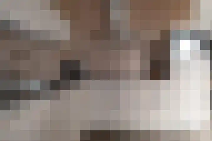 De Oplegger 29 Hollandscheveld thumbnail 11