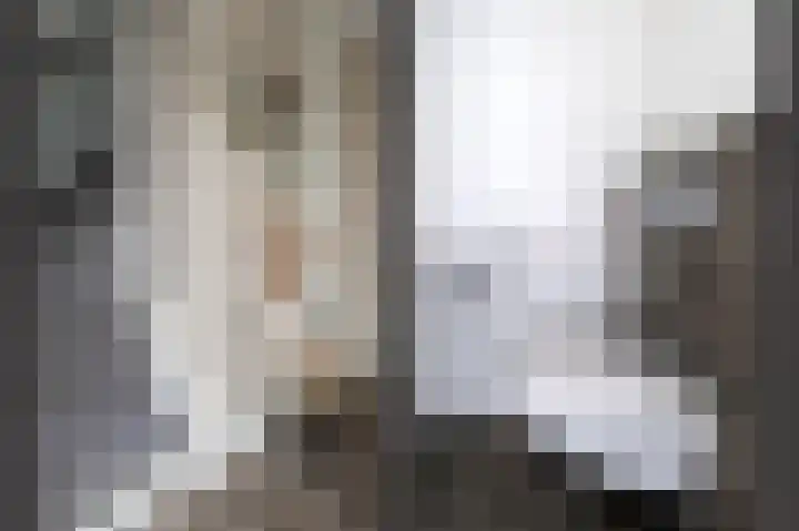 De Oplegger 29 Hollandscheveld thumbnail 15