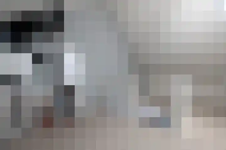 De Oplegger 29 Hollandscheveld thumbnail 31
