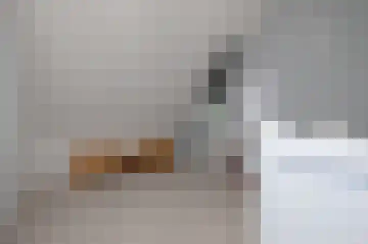 De Oplegger 29 Hollandscheveld thumbnail 32