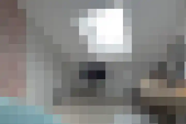 De Oplegger 29 Hollandscheveld thumbnail 34