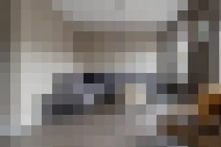 De Oplegger 29 Hollandscheveld thumbnail 4