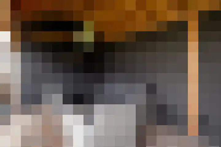 De Oplegger 29 Hollandscheveld thumbnail 41
