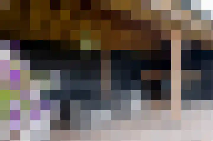 De Oplegger 29 Hollandscheveld thumbnail 43