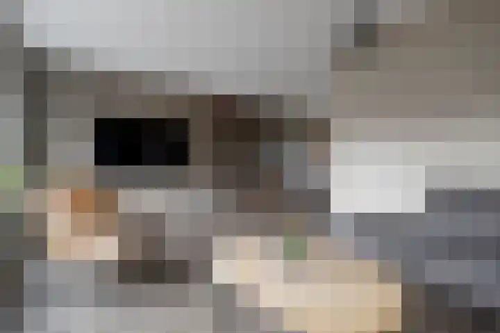 De Oplegger 29 Hollandscheveld thumbnail 5