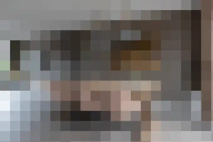 De Oplegger 29 Hollandscheveld thumbnail 7