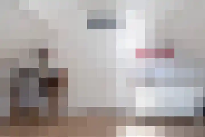 De Opslach 12 Berltsum thumbnail 25