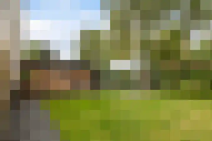 De Opslach 12 Berltsum thumbnail 30
