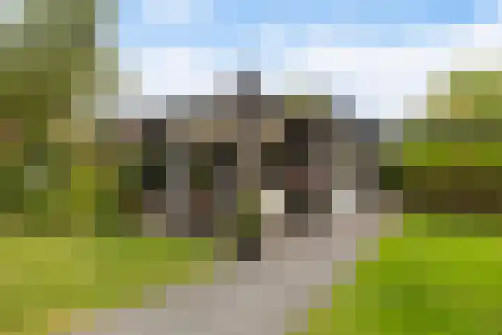 De Opslach 12 Berltsum thumbnail 32
