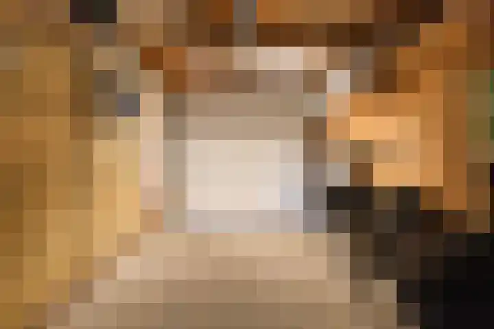 De Opslach 12 Berltsum thumbnail 39
