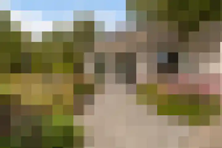 De Opslach 12 Berltsum thumbnail 42