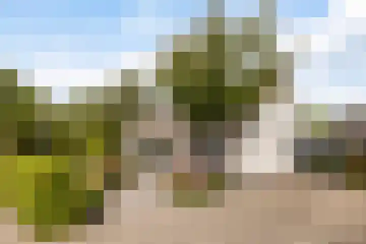 De Opslach 12 Berltsum thumbnail 44