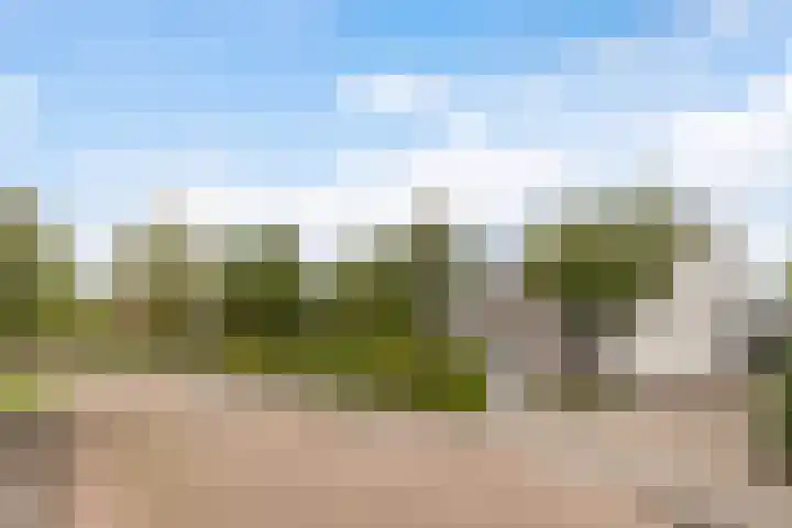 De Opslach 12 Berltsum thumbnail 45