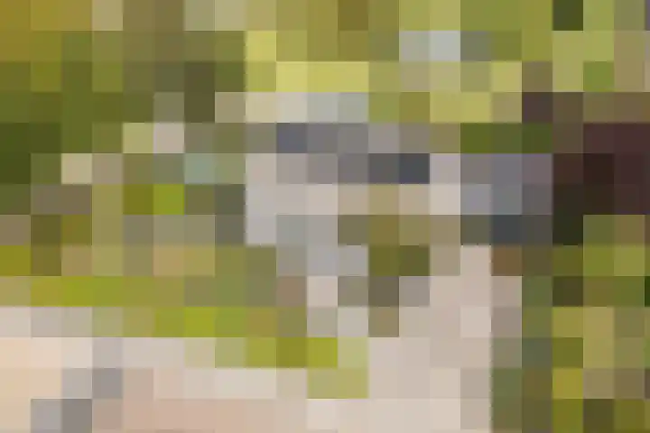 De Opslach 12 Berltsum thumbnail 49