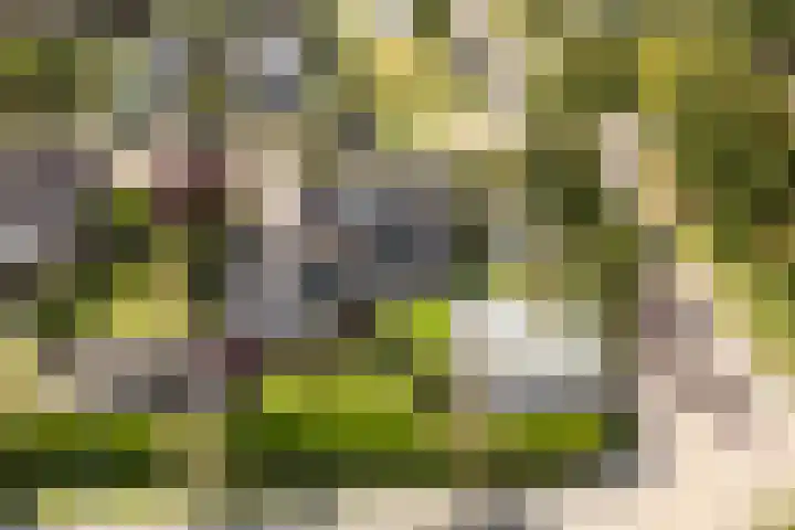 De Opslach 12 Berltsum thumbnail 52