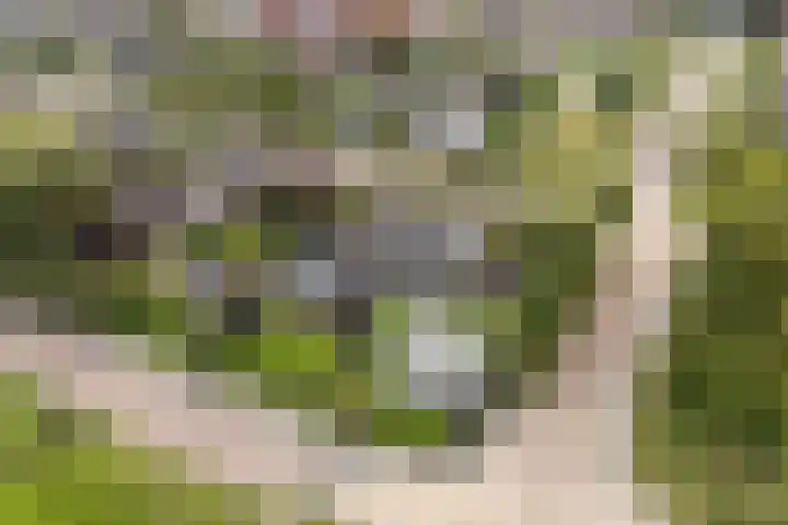 De Opslach 12 Berltsum thumbnail 53