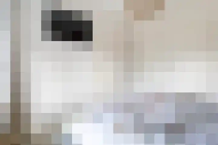 De Opslach 12 Berltsum thumbnail 9