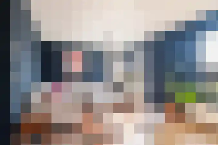De Opslach 26 Ryptsjerk foto 2